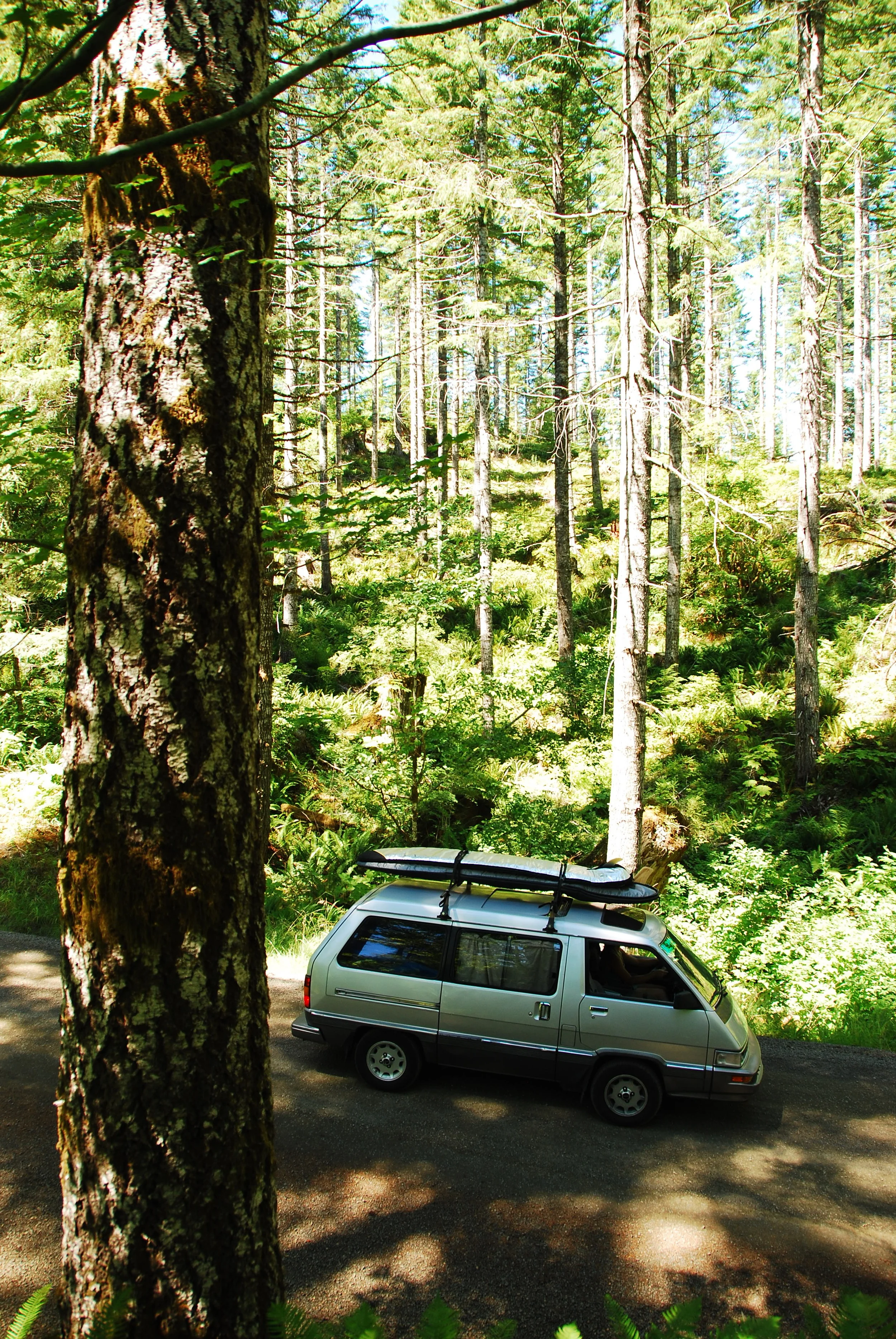 DSC_0690.JPG